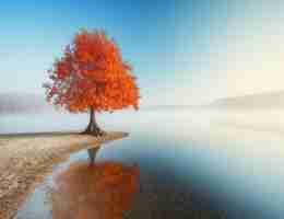 网​络‍监​控‌平‍台‍